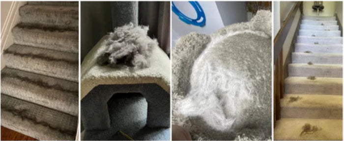 Pūkų ir plaukų surinkėjas