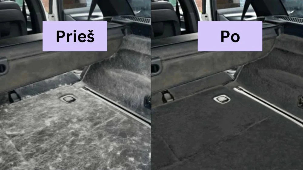 Pūkų ir plaukų surinkėjas